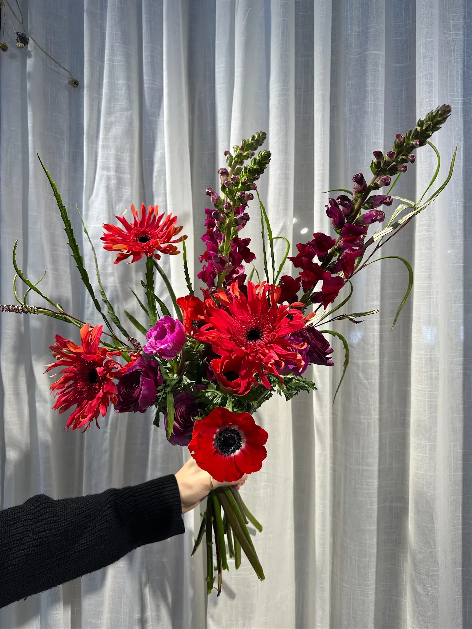 St Valentin Resyne x Tôga grand