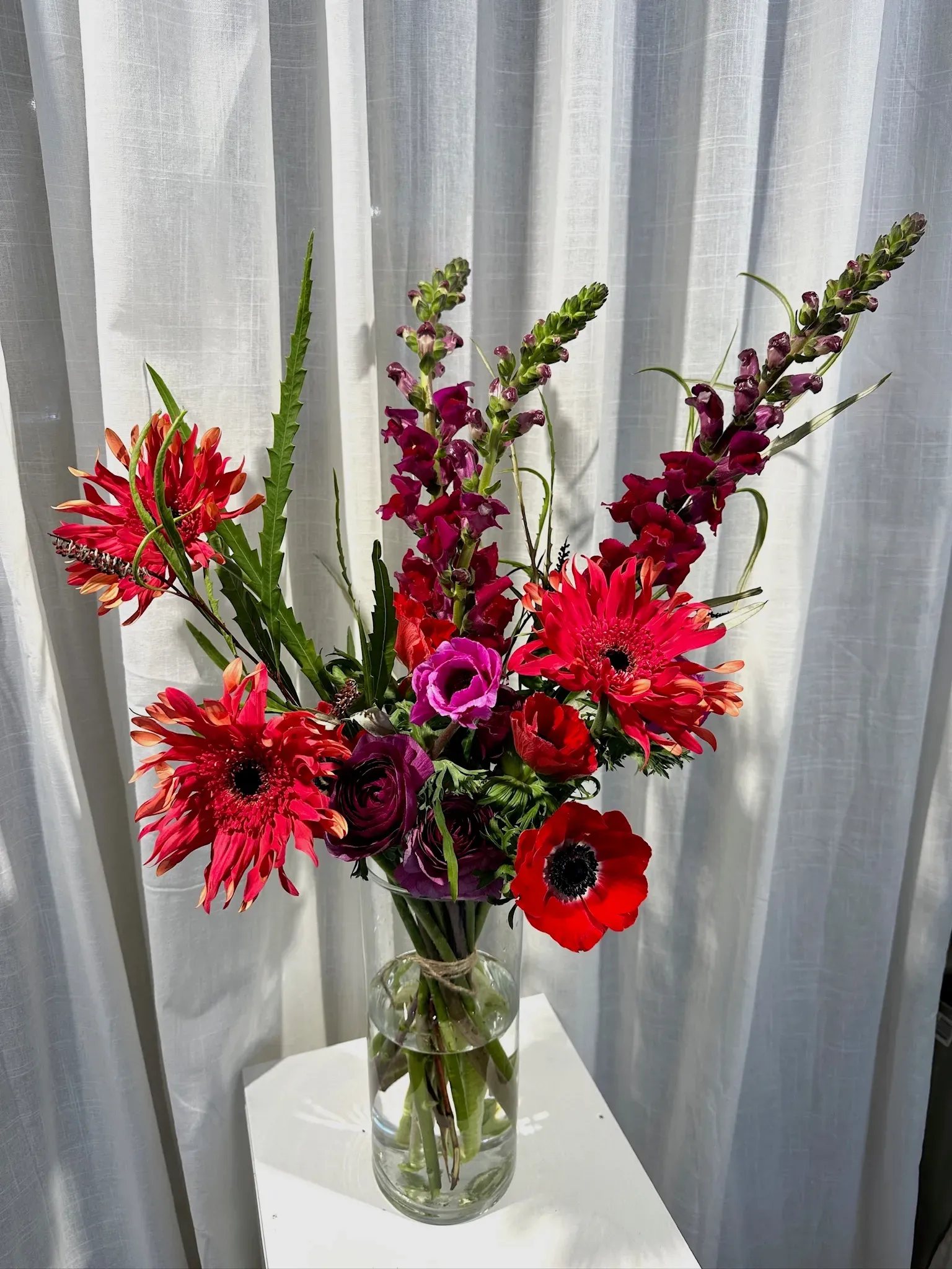 St Valentin Resyne x Tôga grand